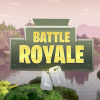 Battle Royale Games